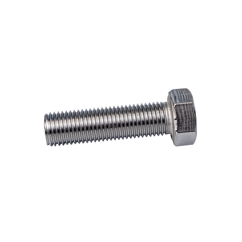 Bolt Kepala Heksagon SS316 DIN933 M22